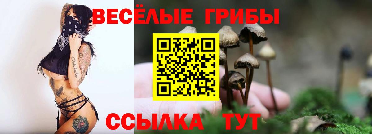 Галлюциногенные грибы Psilocybine cubensis  Псилоцибиновые грибы Magic Shrooms  Набережные Челны  Вход с VPN 